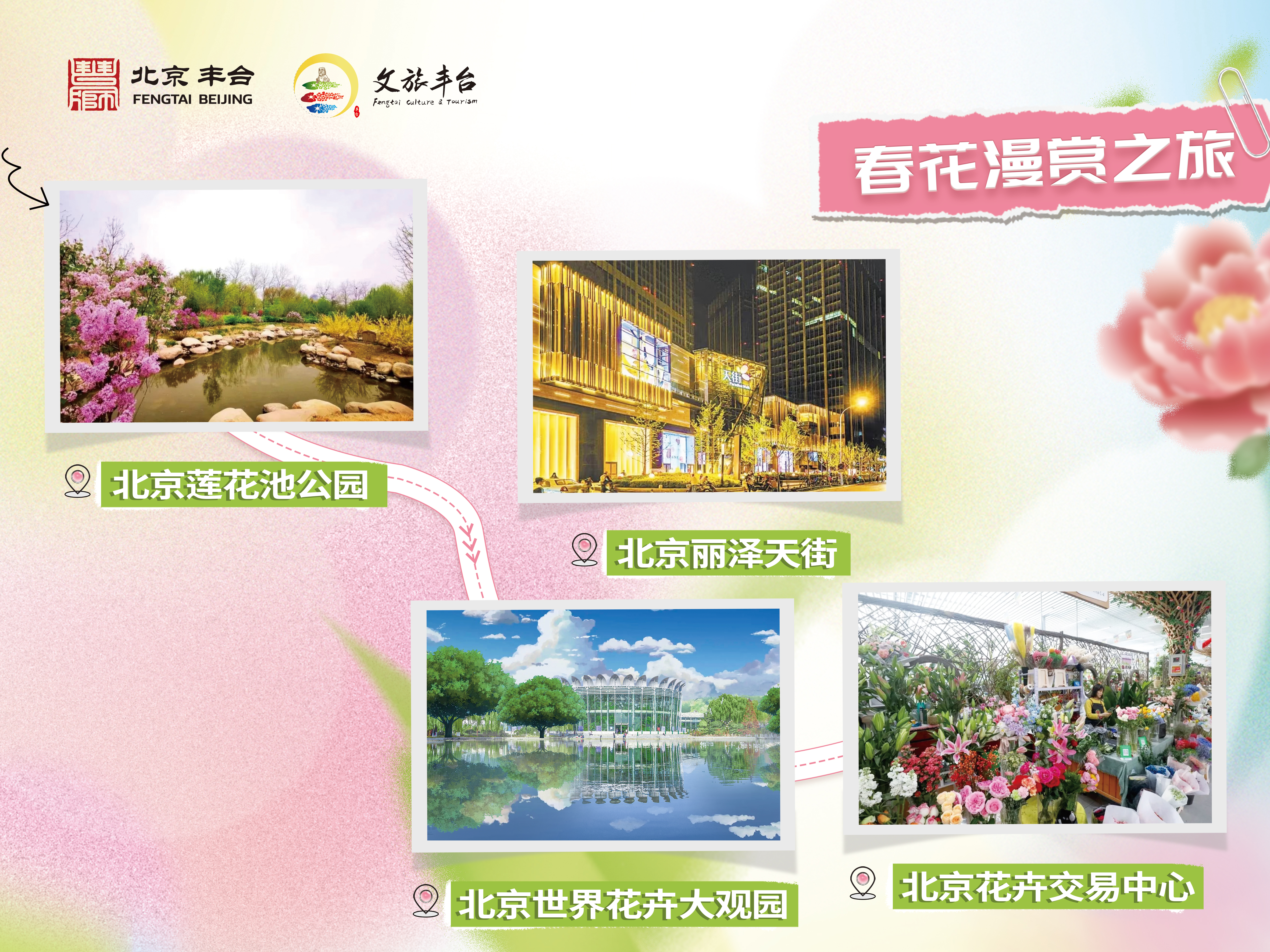 春花漫赏之旅